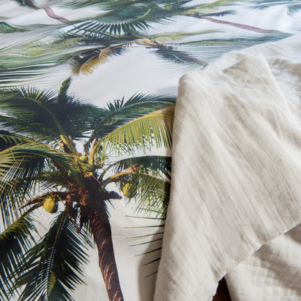 SNURK Palm Beach